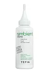 Скраб для кожи головы Ambient Volume Tefia 120 мл