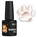 02 Гель-лак для ногтей Кошачий глаз Korean Cat Irisk 10 мл