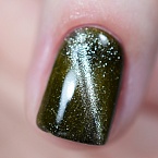 003 Гель-лак Cat Eye BHM Professional 7 мл