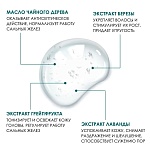Шампунь против жирной кожи головы Rebalancing Insight 400 мл