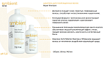 Шампунь для поврежденных волос Repair Ambient Revival Tefia 250 мл