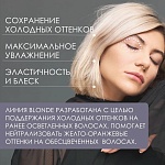 Шампунь для поддержания холодных оттенков волос Blonde Insight 400 мл