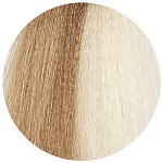 10,3 Колор-гель оттеночный очень-очень светлый блонд золотистый Baco Color Glaze Kaaral 60 мл