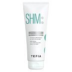 Шампунь для нормальной кожи головы Purifying Normal Scalp Tefia 250 мл