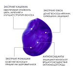 Шампунь для поддержания холодных оттенков волос Blonde Insight 900 мл