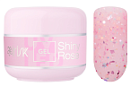21 Гель для ногтей ABC Limited collection Shiny Rose NEW Irisk 15 мл