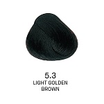 5,3 Крем-краска для волос перманентная Color Yellow 100 мл