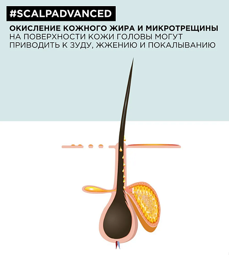 Шампунь для кожи головы регулирующий баланс Serie Expert Scalp Advanced L'oreal Professionnel 300 мл