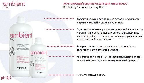 Шампунь укрепляющий для длинных волос Revitalizing Long Hair Ambient Long Tefia 950 мл