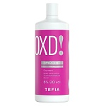 Крем-окислитель для окрашивания волос 6% 20 vol Color Oxycream Tefia 900 мл