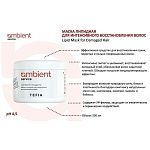 Маска липидная для интенсивного восстановления волос Service Ambient Tefia 500 мл