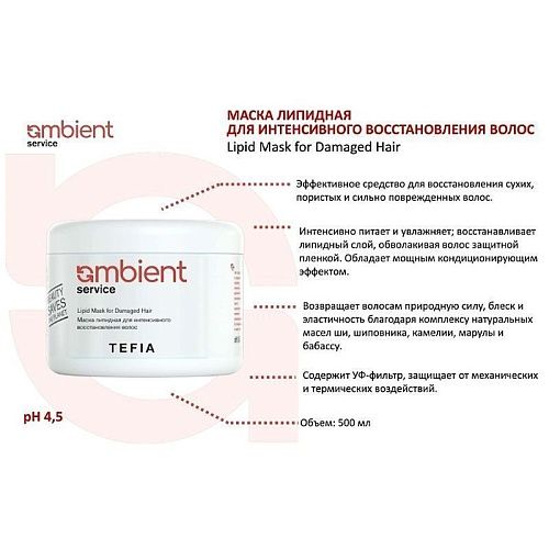 Маска липидная для интенсивного восстановления волос Service Ambient Tefia 500 мл