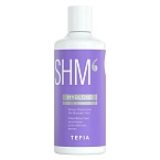 Шампунь оттеночный для светлых волос серебристый Silver Blonde Hair Tefia 300 мл