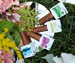 9480 Гель-лак для ногтей Gel Polish Hema Free Runail 10 мл