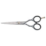 Ножницы парикмахерские прямые 5,5" Pre Style Ergo 82255 Jaguar