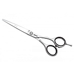 Ножницы парикмахерские прямые 5,75" A JP10 46575 Jaguar