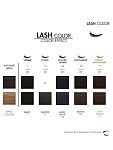 Краска для бровей и ресниц 1,1 графит Lash Color LeviSsime 20 гр