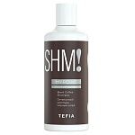 Шампунь для волос оттеночный черный кофе Black Coffee MyPoint Color Care Tefia 300 мл