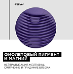 Шампунь против желтизны придающий блеск седым волосам Expert Silver L'oreal Professionnel 300 мл