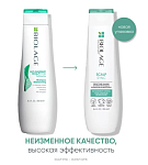 Шампунь освежающий мятный для жирной кожи головы Scalp Sync Biolage 250 мл