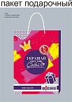 Пакет праздничный Профессионал 35*25*12 см