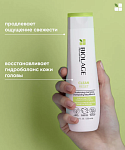 Шампунь для волос нормализующий с экстрактом лемонграсса Clean Reset Biolage 250 мл