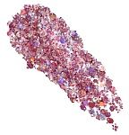 Глиттер гелевый для лица, тела и волос 04 sunrise Glitter Party Estrâde 6,5 мл