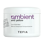 Маска для волос тонирующая Холодный фиолет Ambient Anti-Yellow Tefia 500 мл