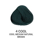 4 COOL Крем-краска для волос перманентная Color Yellow 100 мл
