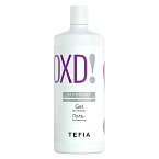 Гель-активатор для окрашивания волос гель-краской тон в тон Gel Developer Tefia 900 мл