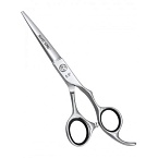 Ножницы прямые парикмахерские PN 130-5.5 Premium Silver Star
