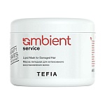 Маска липидная для интенсивного восстановления волос Service Ambient Tefia 500 мл