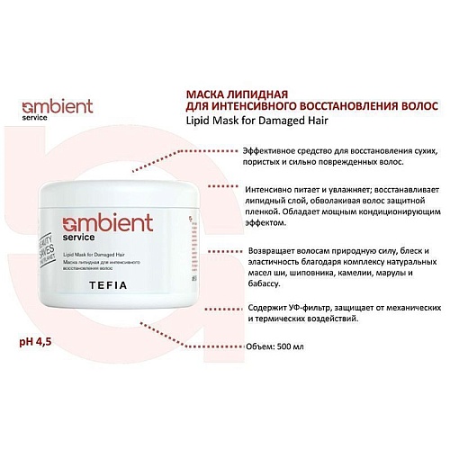 Маска липидная для интенсивного восстановления волос Service Ambient Tefia 500 мл