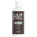 Шампунь для волос оттеночный черный кофе Black Coffee MyPoint Color Care Tefia 300 мл