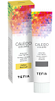 Пигмент прямого действия для волос Желтый Direct Hair Color Pigment Clear Tefia 100 мл