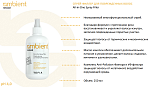 Спрей-филлер для поврежденных волос All-in-One Spray Filler Ambient Revival Tefia 250 мл